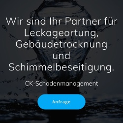 Ck Schadenmanagement