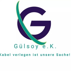 Guelsoy-Company