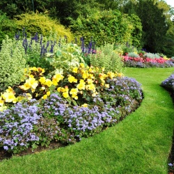 Schöne Gärten Garten und Landschaftsbau K. Rattinger, Bepflanzungen, Strauchschnitt, Sträucher schneiden, Heckenschnitt, Pflastersteine, Terrassenplatten verlegen, Zaunbau, Sichtschutzzaun, S