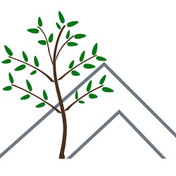 Jan Busse - Baum und Fels