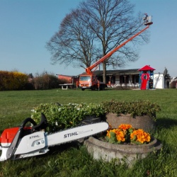 Hofstetter Baumpflege & Gartenservice