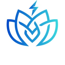 Lotus Electrica