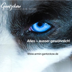 Gantzckow Erdarbeiten GalaBau