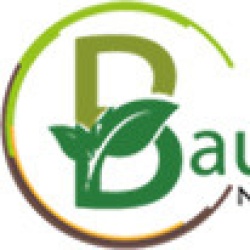 Baumservice SH