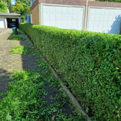 Teke Gartenbau