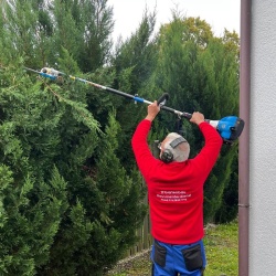 TFGartenbau + Hausmeisterdienst