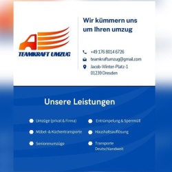 Teamkraft Umzug