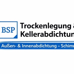 Bauservice Sanel Pepic