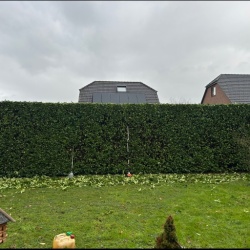 Diko Zaun und GartenBau