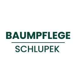 Baumpflege Schlupek