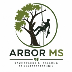 Arbor MS